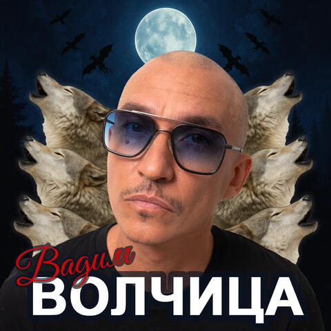 Волчица album art