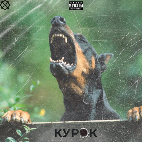 Курок album art