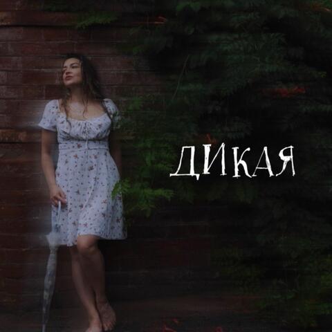 Дикая album art