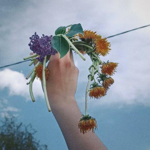 верховная album art