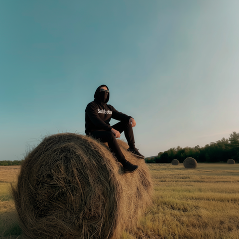 Пролетает лето (aprashkin Remix) album art