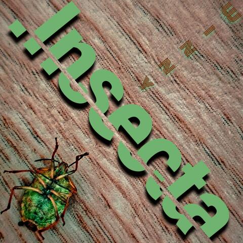 Insecta album art