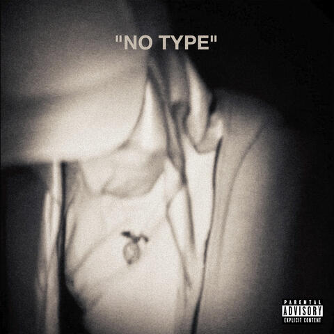 NO TYPE album art