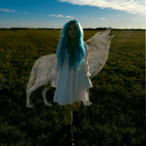 Сказка про волчицу album art