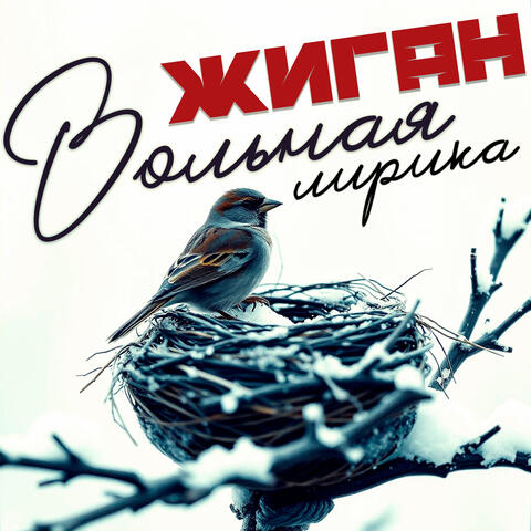 Вольная лирика album art