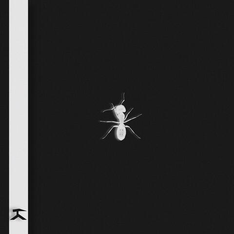 silksong!! album art