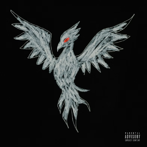 Буду стелить album art