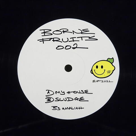 Borne Fruits 002 album art