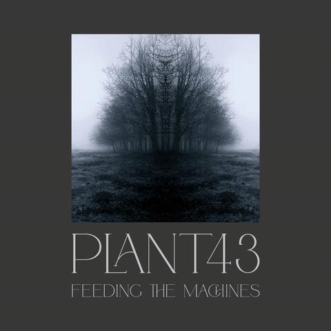 Feeding the Machines album art