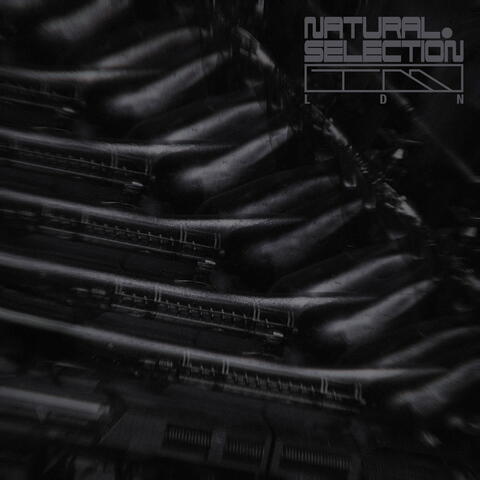 Radiance EP album art