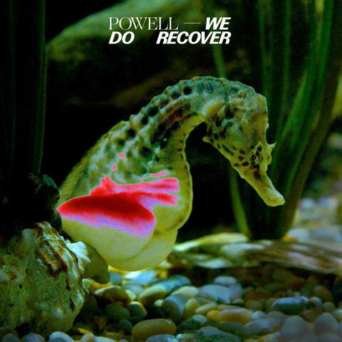 We Do Recover album art