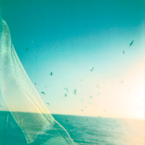 Dream Tides album art