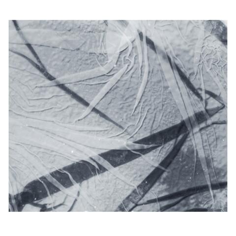 Forces, Reactions, Deflections album art