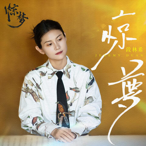 惊梦 album art
