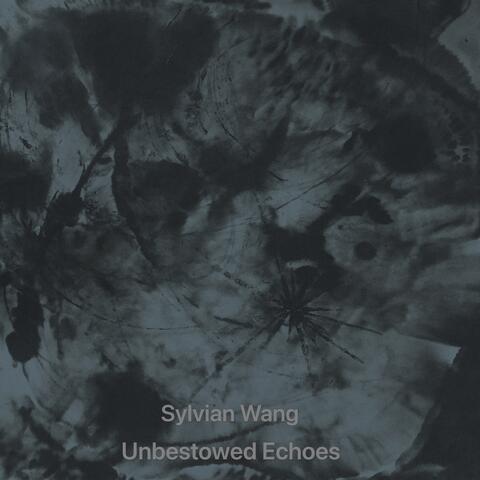 Unbestowed Echoes (弃响) album art