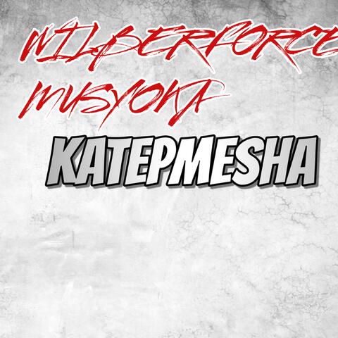 KATEPMESHA album art