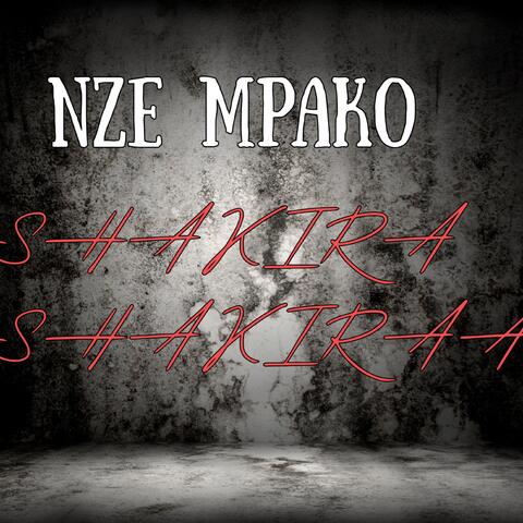 NZE MPAKO album art