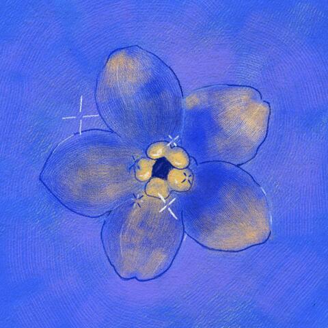 Vergissmeinnicht album art