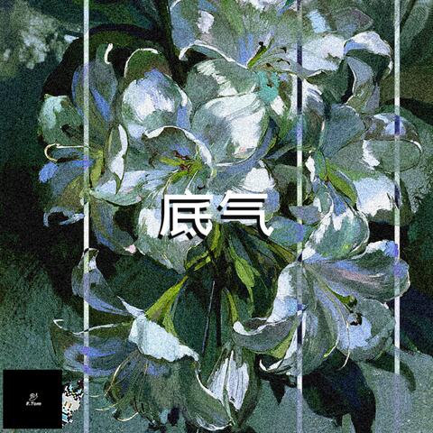 底气 album art