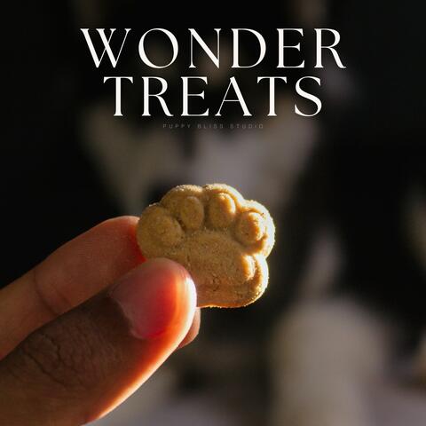 Wonder Treats album art