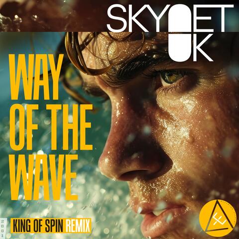 Way of the Wave album art