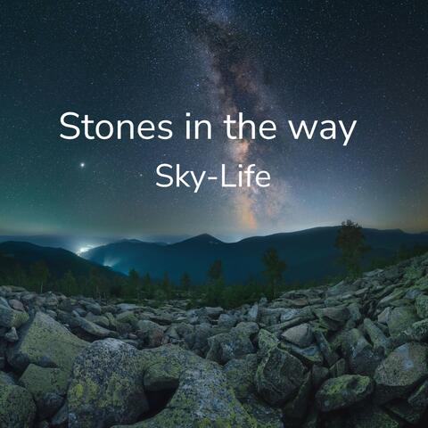 Stones in the Way album art
