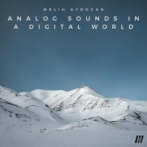 Analog Sounds in a Digital World album art