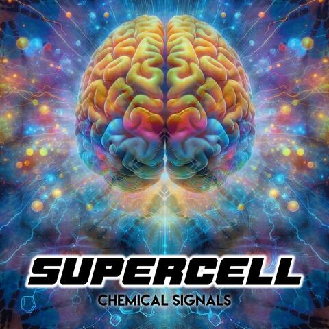 Chemical Signals album art