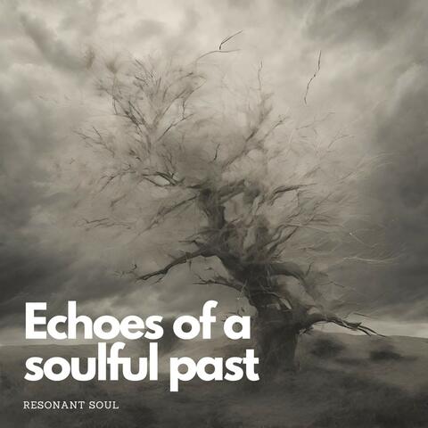 Echoes of a Soulful Past album art
