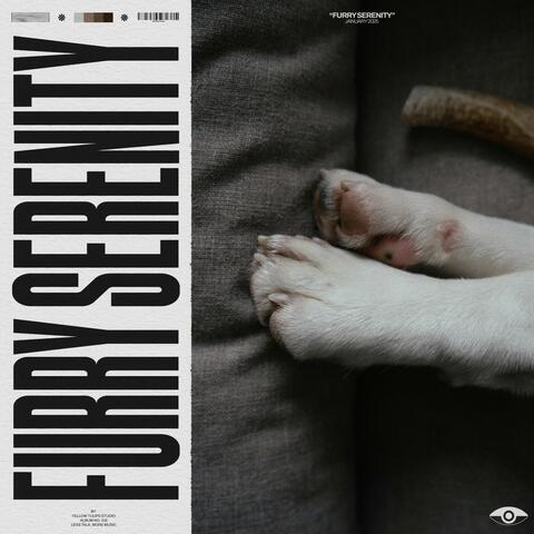 Furry Serenity album art