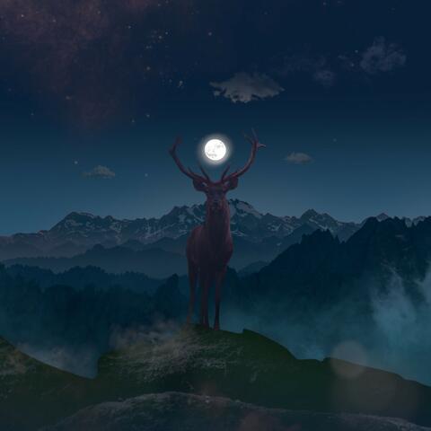 Pictures of You album art