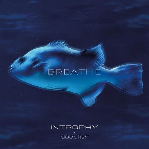 Breathe album art