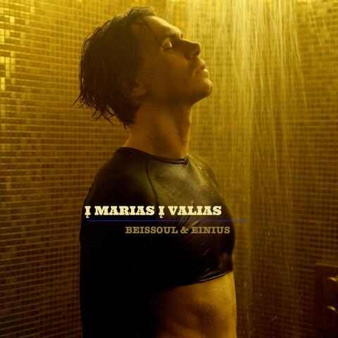Į marias Į valias album art