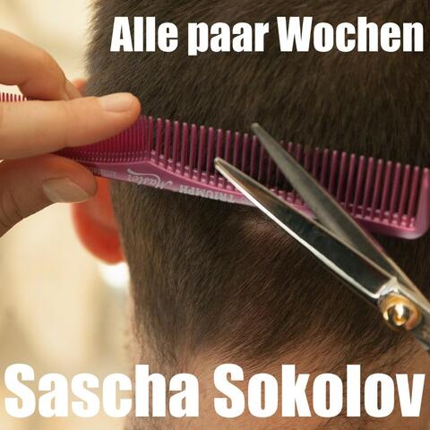Alle paar Wochen album art