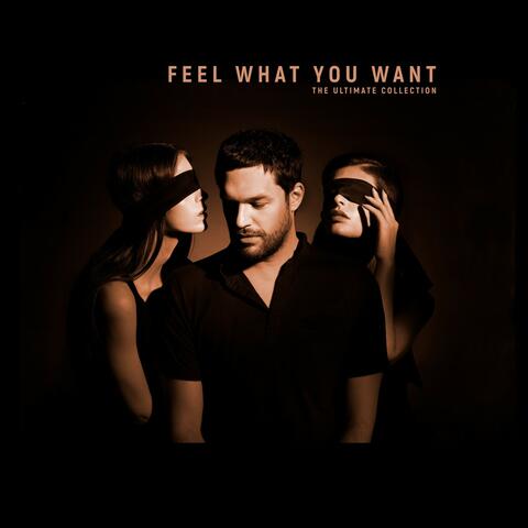 Feel What You Want - The Ultimate Collection album art