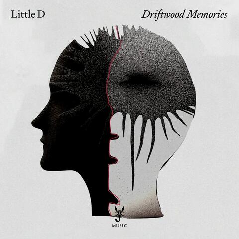 Driftwood Memories album art