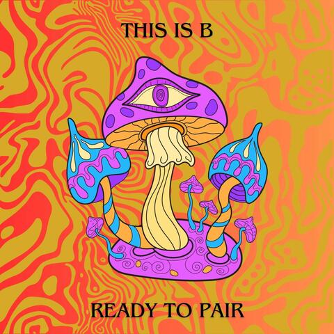 Ready to Pair album art