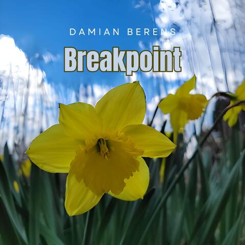 Breakpoint album art