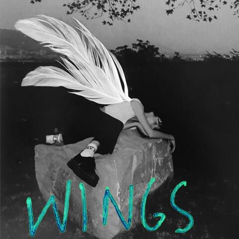 Wings album art