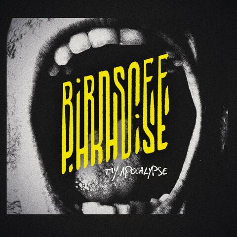 My Apocalypse album art