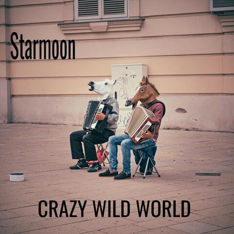 Crazy Wild World album art