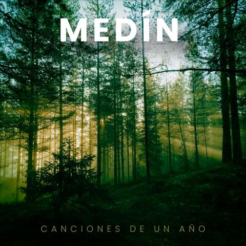 Canciones de un Año album art