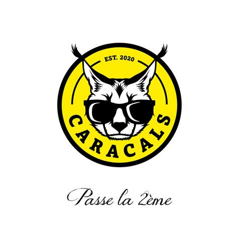 Passe la 2ème album art