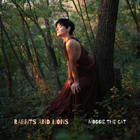 Rabbits and Lions album art