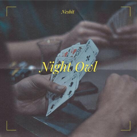 Night Owl album art
