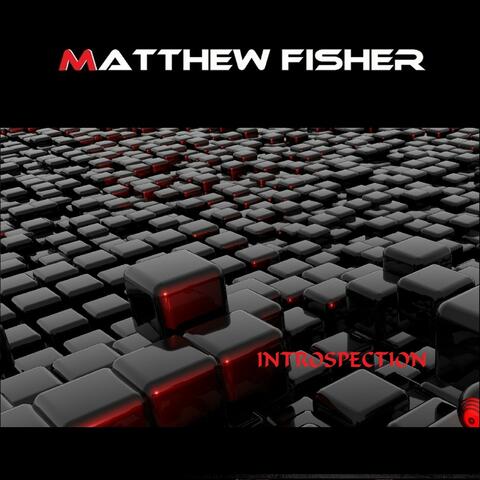 Introspection album art