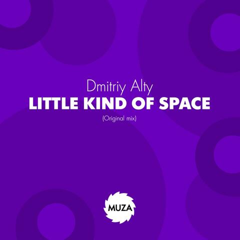 Little Kind of Space album art