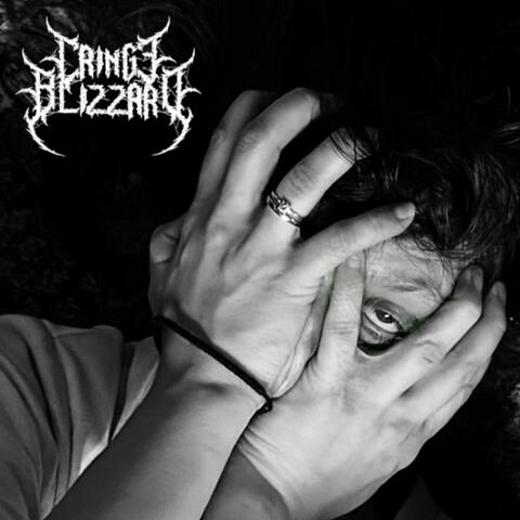 Palmface, Vol. 1 album art