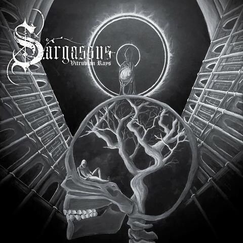 Vitruvian Rays album art