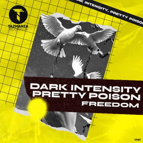 Freedom album art